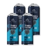 Komplet Alpino gaz do klimatyzacji for HYBRID/EV (Alpino gaz+olej+UV) (4 szt)